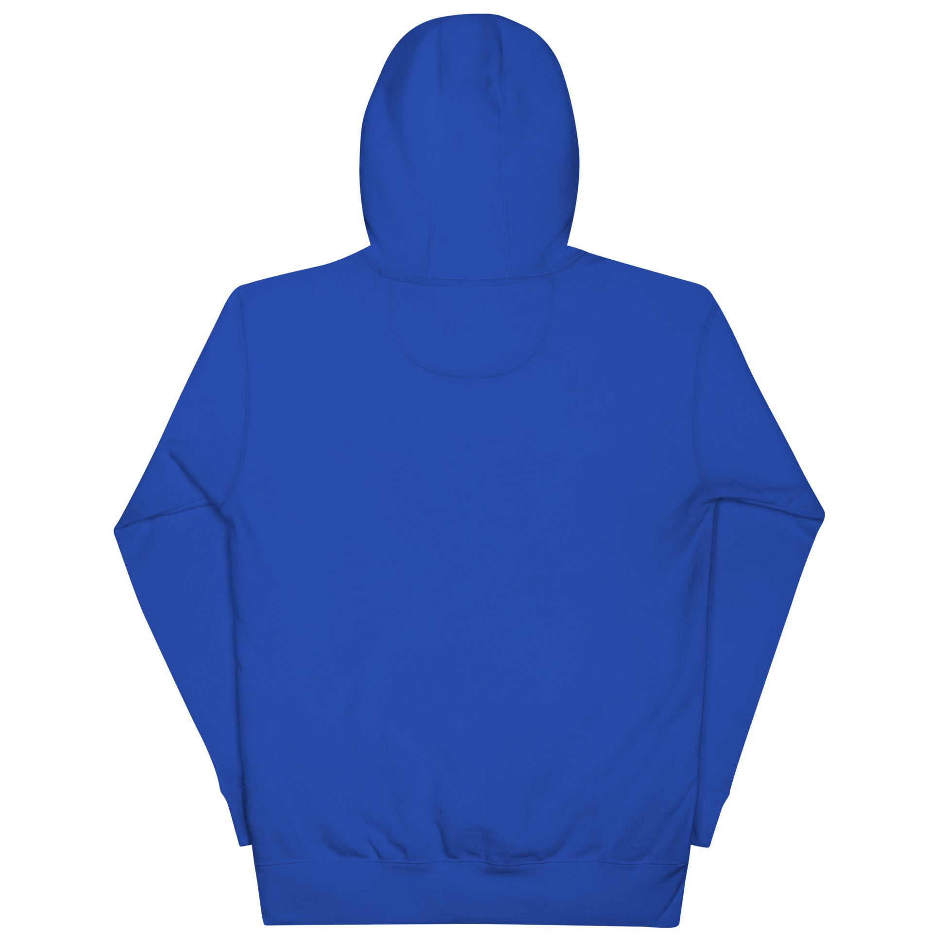 Stylish ABE Grey Embroidered Hoodie featuring a cozy design and pouch pocket, perfect for chilly evenings.
