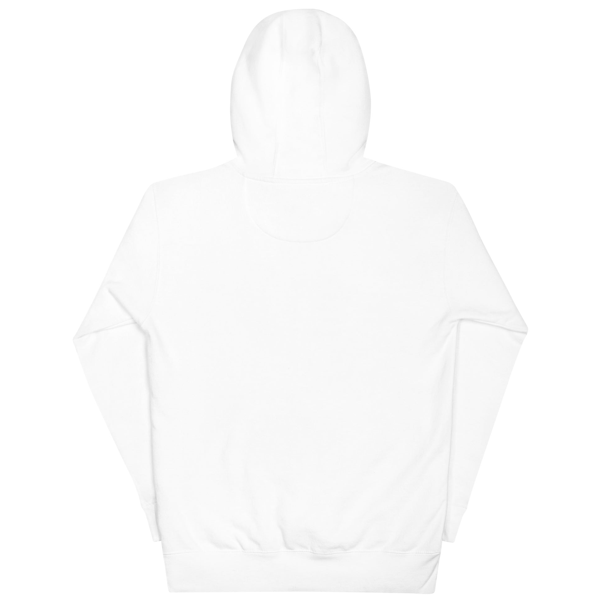 Back view of the ABE Grey Embroidered Hoodie, showcasing its cozy design and stylish streetwear appeal.